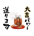 ヒマラヤン子猫❗️ふんわりお正月あいさつ（個別スタンプ：19）