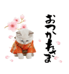 ヒマラヤン子猫❗️ふんわりお正月あいさつ（個別スタンプ：21）