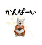 ヒマラヤン子猫❗️ふんわりお正月あいさつ（個別スタンプ：22）