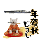 ヒマラヤン子猫❗️ふんわりお正月あいさつ（個別スタンプ：24）