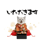 ヒマラヤン子猫❗️ふんわりお正月あいさつ（個別スタンプ：33）