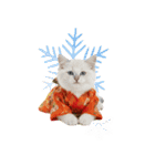 ヒマラヤン子猫❗️ふんわりお正月あいさつ（個別スタンプ：38）