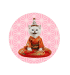 ヒマラヤン子猫❗️ふんわりお正月あいさつ（個別スタンプ：40）