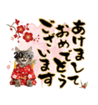 ノルウェージャン子猫！お正月スタンプ（個別スタンプ：1）