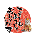 ノルウェージャン子猫！お正月スタンプ（個別スタンプ：2）