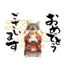 ノルウェージャン子猫！お正月スタンプ（個別スタンプ：3）