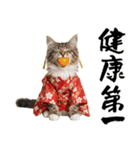 ノルウェージャン子猫！お正月スタンプ（個別スタンプ：17）