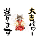 ノルウェージャン子猫！お正月スタンプ（個別スタンプ：19）