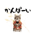 ノルウェージャン子猫！お正月スタンプ（個別スタンプ：22）