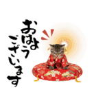 ノルウェージャン子猫！お正月スタンプ（個別スタンプ：28）