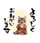 ノルウェージャン子猫！お正月スタンプ（個別スタンプ：29）