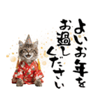 ノルウェージャン子猫！お正月スタンプ（個別スタンプ：30）