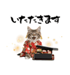 ノルウェージャン子猫！お正月スタンプ（個別スタンプ：33）