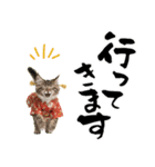 ノルウェージャン子猫！お正月スタンプ（個別スタンプ：35）