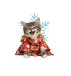 ノルウェージャン子猫！お正月スタンプ（個別スタンプ：38）