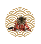 ノルウェージャン子猫！お正月スタンプ（個別スタンプ：39）