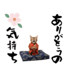 ベンガル子猫！華やかお正月スタンプ（個別スタンプ：13）