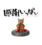 ベンガル子猫！華やかお正月スタンプ（個別スタンプ：14）