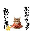 ベンガル子猫！華やかお正月スタンプ（個別スタンプ：15）