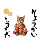 ベンガル子猫！華やかお正月スタンプ（個別スタンプ：20）