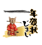 ベンガル子猫！華やかお正月スタンプ（個別スタンプ：24）
