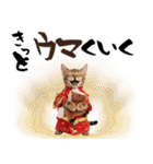 ベンガル子猫！華やかお正月スタンプ（個別スタンプ：27）