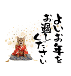 ベンガル子猫！華やかお正月スタンプ（個別スタンプ：30）