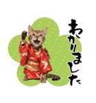 ベンガル子猫！華やかお正月スタンプ（個別スタンプ：31）