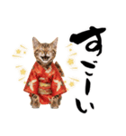 ベンガル子猫！華やかお正月スタンプ（個別スタンプ：32）
