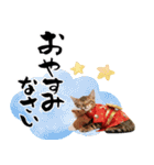 ベンガル子猫！華やかお正月スタンプ（個別スタンプ：34）