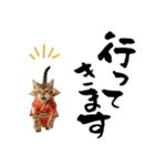 ベンガル子猫！華やかお正月スタンプ（個別スタンプ：35）