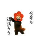 動く！午年のあけおめスタンプ（個別スタンプ：13）