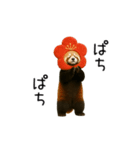 動く！午年のあけおめスタンプ（個別スタンプ：23）