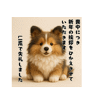 シェルティのふわもこ午年♡年末年始ご挨拶（個別スタンプ：17）