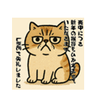毎年使える♡エキゾチック猫の年末年始挨拶（個別スタンプ：22）