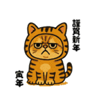 毎年使える♡エキゾチック猫の年末年始挨拶（個別スタンプ：31）