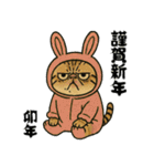 毎年使える♡エキゾチック猫の年末年始挨拶（個別スタンプ：32）