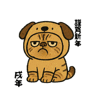 毎年使える♡エキゾチック猫の年末年始挨拶（個別スタンプ：39）