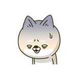 シバイヌーンのあけおめスタンプ［再販版］（個別スタンプ：20）