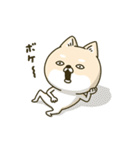 シバイヌーンのあけおめスタンプ［再販版］（個別スタンプ：24）