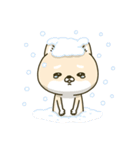 シバイヌーンのあけおめスタンプ［再販版］（個別スタンプ：25）