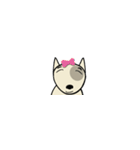 愛しのブルテリア超小版 N（個別スタンプ：12）