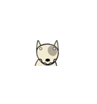 愛しのブルテリア超小版 N（個別スタンプ：40）