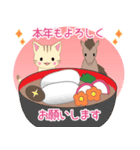 飛び出す！ちびにゃんこ2026【あけおめ】 | LINEスタンプ | Ruki