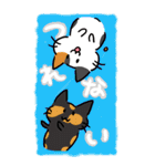 釣り好き猫の、今日の釣果は？（個別スタンプ：17）