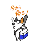 釣り好き猫の、今日の釣果は？（個別スタンプ：21）