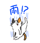 釣り好き猫の、今日の釣果は？（個別スタンプ：35）