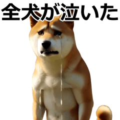 [LINEスタンプ] デカ動く ふつつかな犬