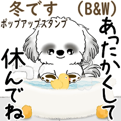 [LINEスタンプ] 飛び出すB＆Wのシーズー犬 2025 「冬」