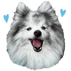 [LINEスタンプ] ベルくんスタンプだよ